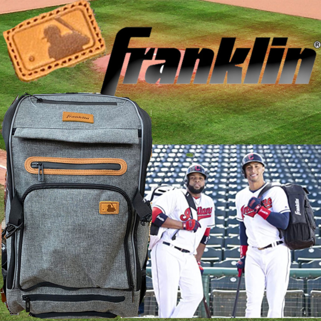 MLB/NPBでも大ブレイク】野球用バックパック業界に衝撃が走るフランクリンの トラベラーエリートとは - やばいグローブ屋さん